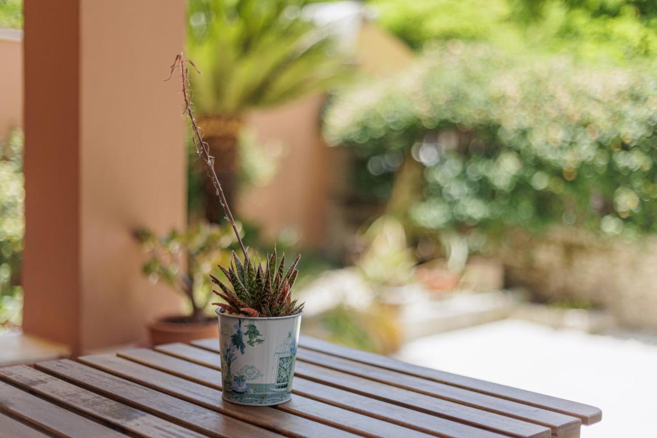 Aloe Apartments Corfu  ภายนอก รูปภาพ